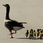 Natuur Natuur