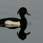 Natuur Natuur
