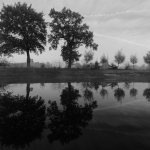 Zwart wit Zwart wit