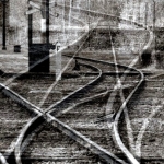 Het spoor bijster Het spoor bijster