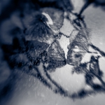 Frozen III Frozen III