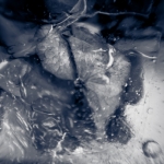 Frozen XVIII Frozen XVIII