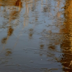 Frozen reflection V Frozen reflection V