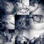 Frozen Frozen
