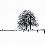 Minimalisme 3 Minimalisme 3