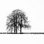 Minimalisme 4 Minimalisme 4