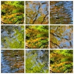 Herfstcomposiet 1 Herfstcomposiet 1
