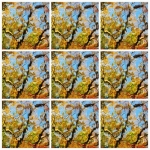 Herfstcomposiet 2 Herfstcomposiet 2