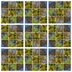 Herfstcomposiet 5 Herfstcomposiet 5