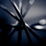 Black and Blue II Black and Blue II