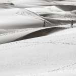 Walking in the dunes Walking in the dunes