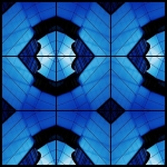 Something blue-scope III Something blue-scope III