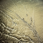 Water | week 36 Water | week 36