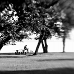 At the lake At the lake