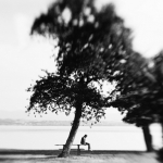 At the lake (2) At the lake (2)