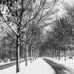 Winter 2015 -1 Winter 2015 -1