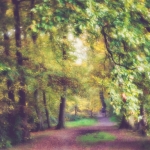 Autumn 2015 | 1 Autumn 2015 | 1