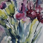 Tulpen Tulpen