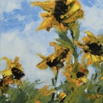 Zonnebloemen Zonnebloemen