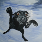 Plons! Plons!