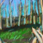 Dode bomen 1 Dode bomen 1