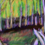 Dode bomen 2 Dode bomen 2