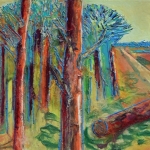 Landschap Landschap