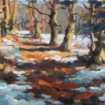 Winters wandelpad Winters wandelpad