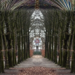 Bomenkathedraal Bomenkathedraal