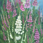 Vingerhoedskruid in mijn tuin Vingerhoedskruid in mijn tuin