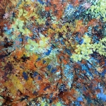 Herfst impressie Herfst impressie