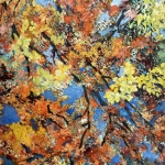 Herfst impressie Herfst impressie