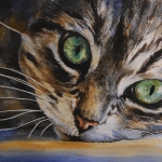 Poes Poes