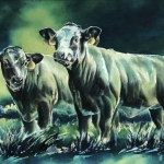 Jonge Stieren 2 Jonge Stieren 2