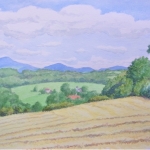 agrarisch landschap agrarisch landschap