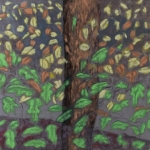 forest forest