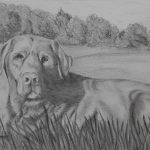 Hond 'Max" schets Hond 'Max" schets
