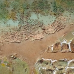 moeraslandschap moeraslandschap