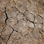 Droogte Droogte