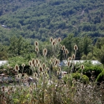 Avondzon Avondzon