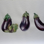 Aubergines Aubergines