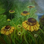 Helenium Helenium