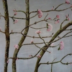 Viburnum bothnatense Dawn Viburnum bothnatense Dawn