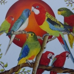 7 parkietachtige vogels 7 parkietachtige vogels