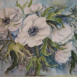 Anemonen Anemonen