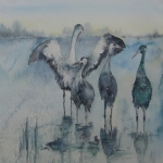 De 4 reigers De 4 reigers