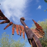 Vuurvogel Vuurvogel