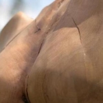 torso torso