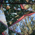 inside a tree inside a tree