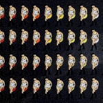 Invasion Invasion